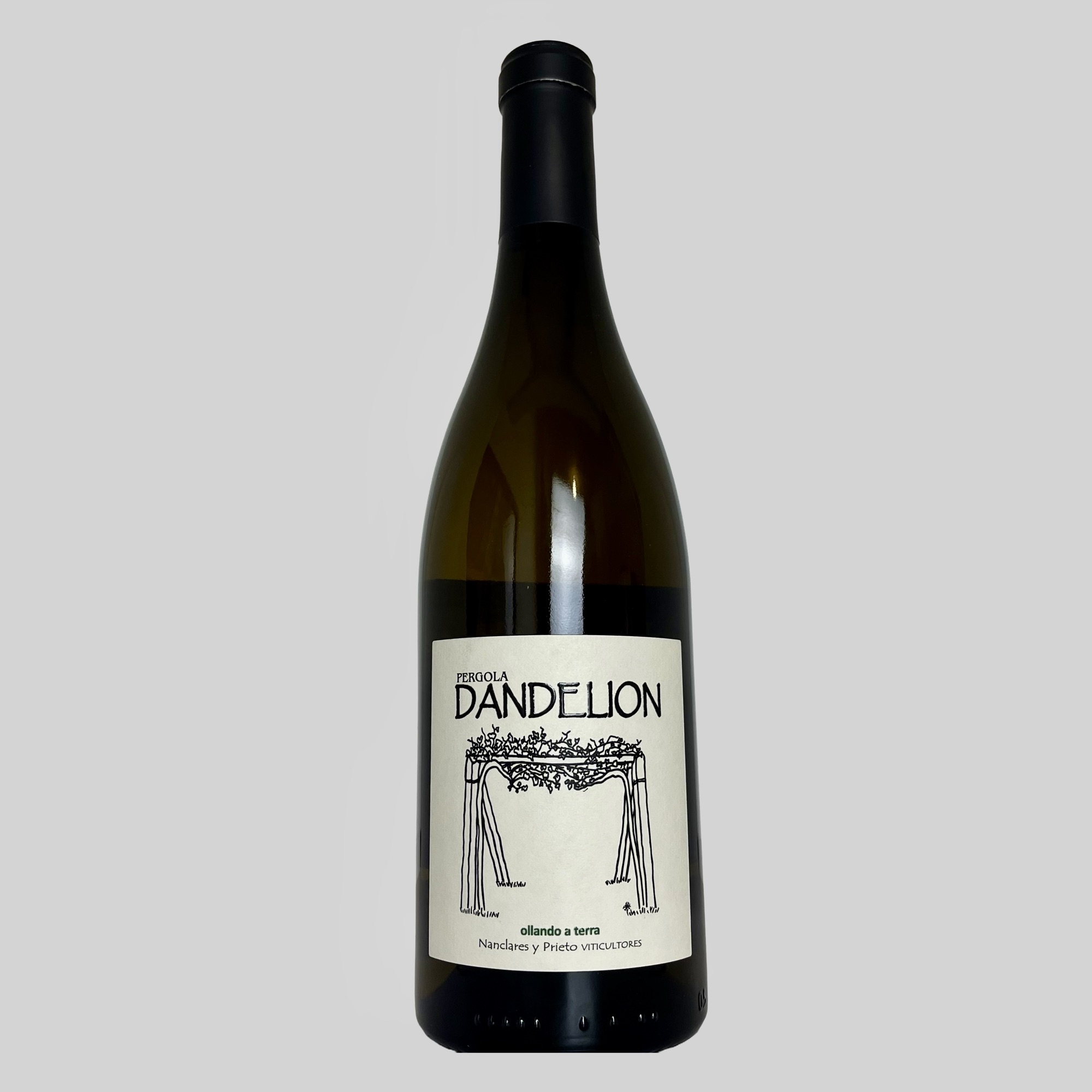 nanclares-y-prieto-dandelion-2023 nanclares-y-prieto-dandelion-2023