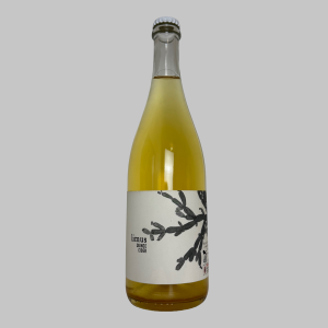 limus-clingstone-cider-2022
