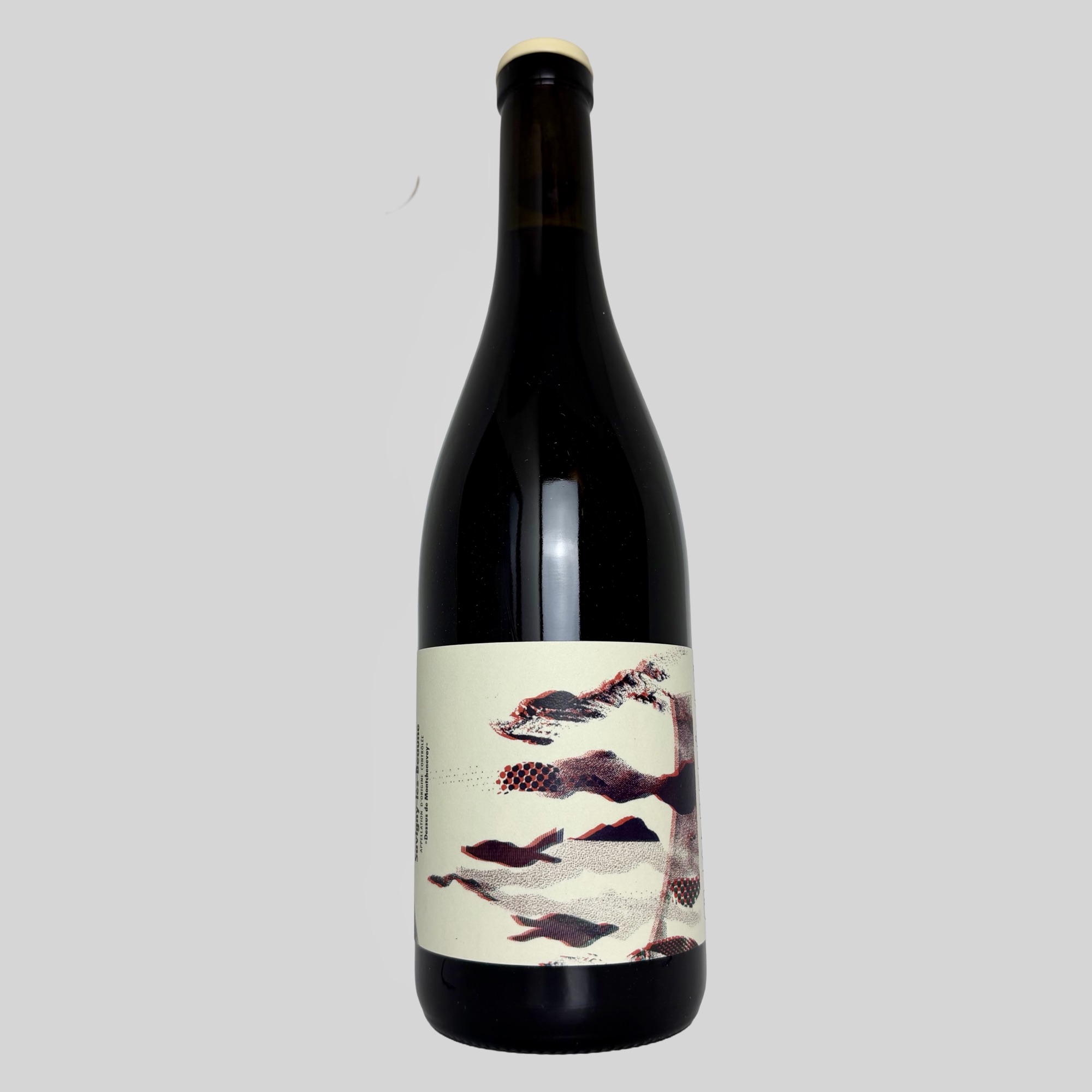 savigny-les-beaune-dessus-de-montchenevoy-2023 savigny-les-beaune-dessus-de-montchenevoy-2023